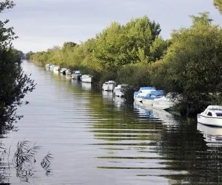 Nid Douillet Au Milieu Des Pins Entre Et Ocean * Carcans